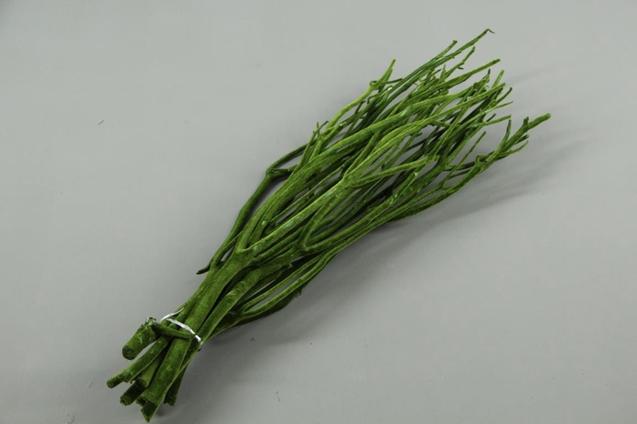 <h4>Mitsumata Flock D.Green Bs(10)</h4>