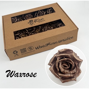Zijde R Wx Pearl Bruin