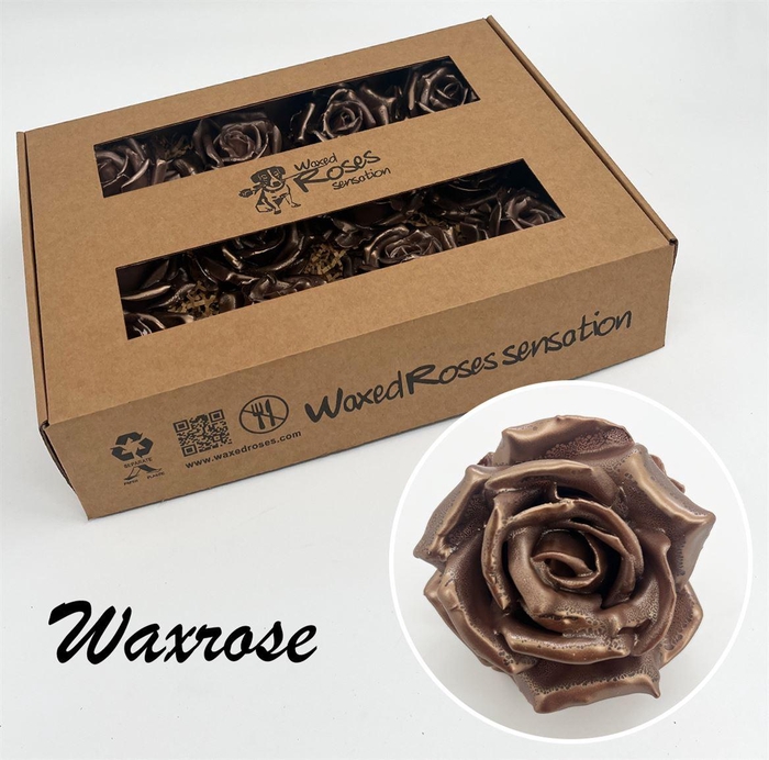 <h4>Zijde R Wx Pearl Bruin</h4>