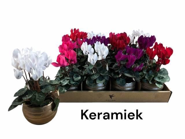 <h4>CYCL KL SUP MICRO</h4>