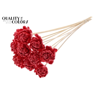 Shola New Beauty Rose 6cm on stem Wax Red