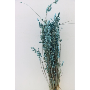 Dried Briza Maxima Light Blue Bunch