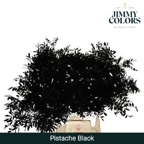 <h4>Pistache L50 Black</h4>