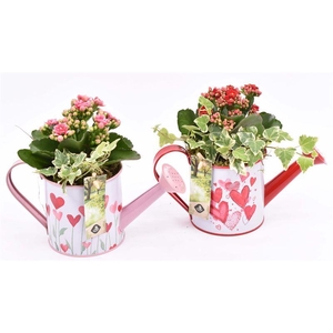 Zink gieter roze/rood hart 24x10cm