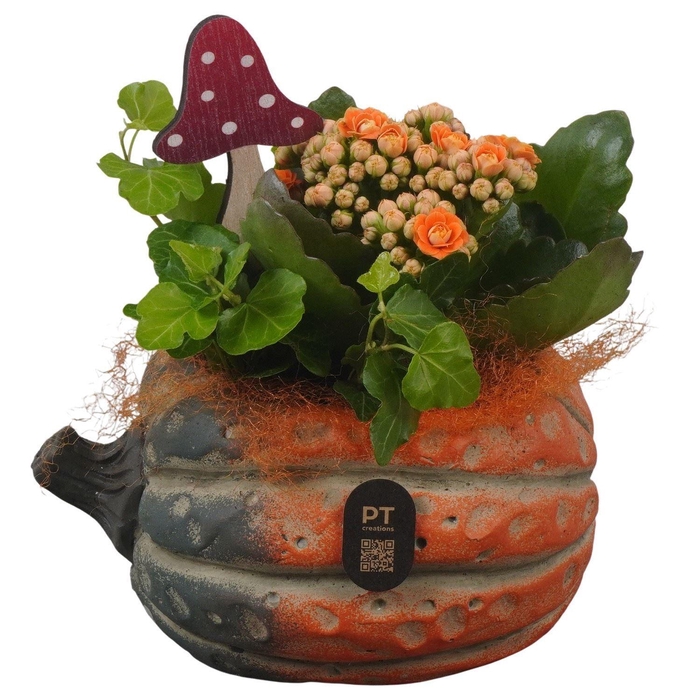 <h4>Arr. Planten L%</h4>