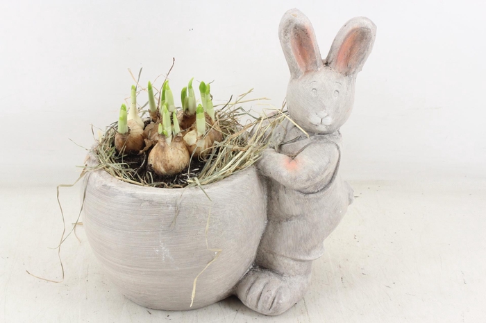 <h4>arr4 Narcis PL - Keramiek Paashaas</h4>