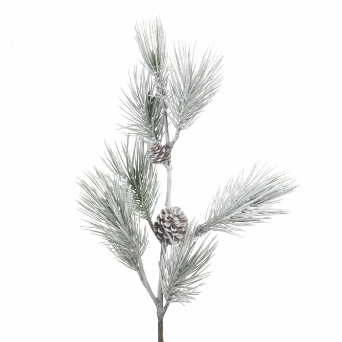 Af Pinus L129cm Frost