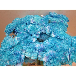 Di St G Blue Lagoon