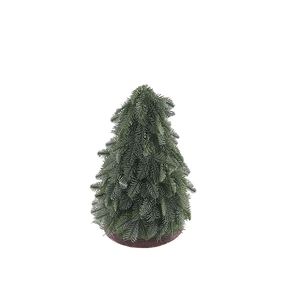 Nobilis Tree Green XM660077GRN