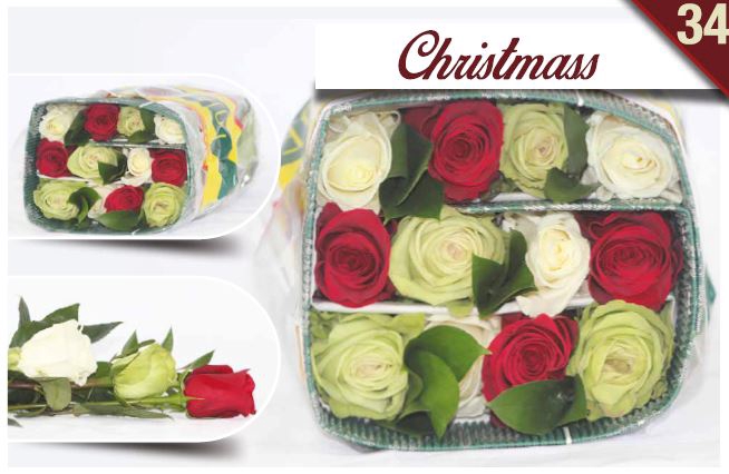<h4>R Gr Rainbow Christmas 40cm EC</h4>