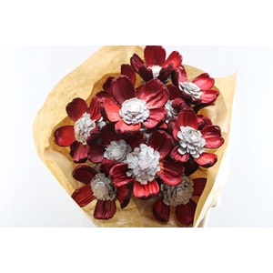 Droog Pineflower Red-white X15