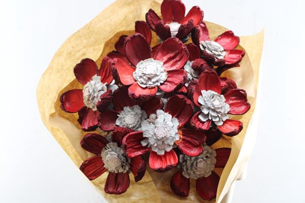 <h4>Droog Pineflower Red-white X15</h4>