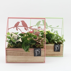 ESCR-2607M Essentials