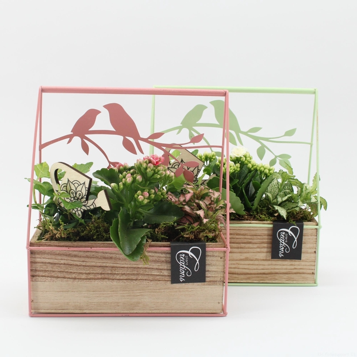 <h4>ESCR-2607M Essentials</h4>