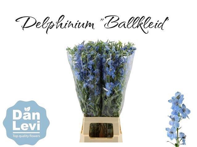 <h4>Delph En Ballkleid</h4>