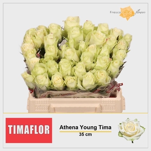 R GR ATHENA