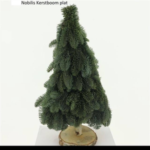 KERSTBOOM H% KUNST