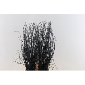 Berk 70cm Black Bunch