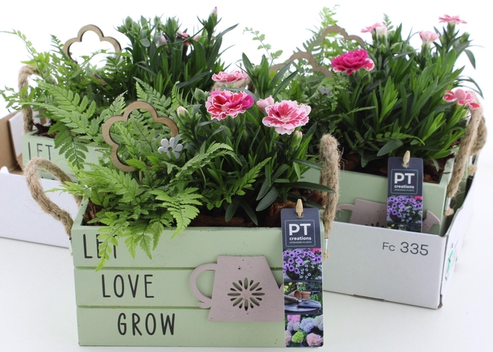 <h4>ARR TUINPLANTEN</h4>