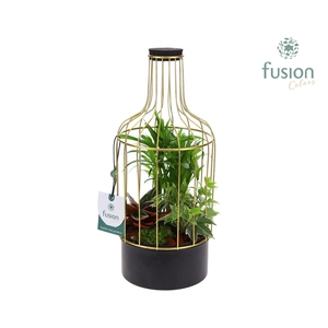 Metalen fles goudzwart Small met arrangement