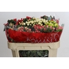 Hypericum Rainbow Romance Spray