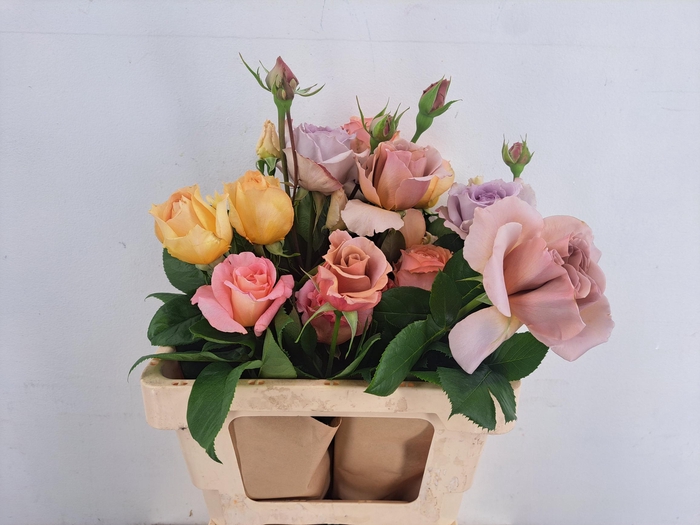 <h4>R GR MIX  SCENTED</h4>