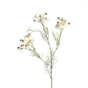 AF Matricaria Chamo L65cm wh