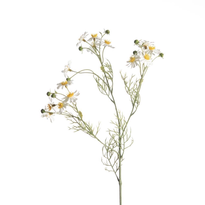 <h4>AF Matricaria Chamo L65cm wh</h4>