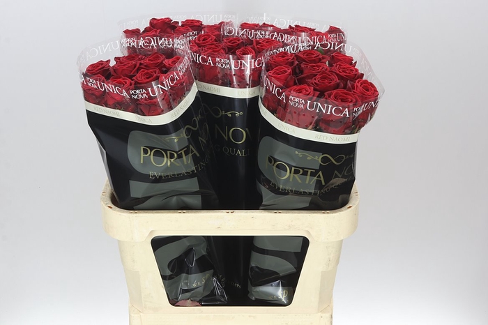 <h4>Rosa Gr Red Naomi Unica</h4>