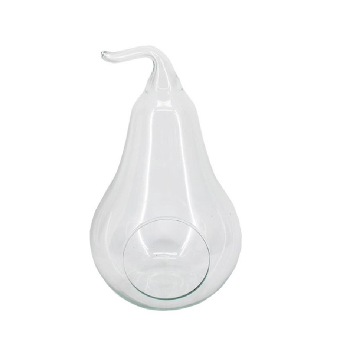 <h4>Glas Terrarium Peer +gat d19*28/31cm</h4>