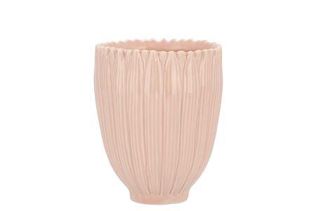 <h4>Bloom Daisy Dreamy Peach Cup 9x9x11cm Nm</h4>