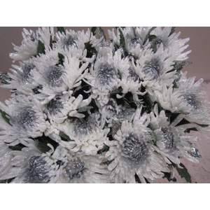 Chr G Topspin G Wit / Zilver