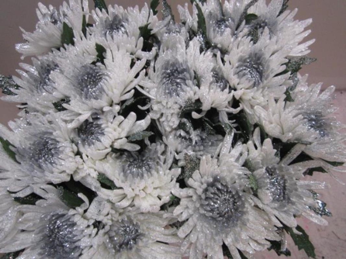 <h4>Chr G Topspin G Wit / Zilver</h4>