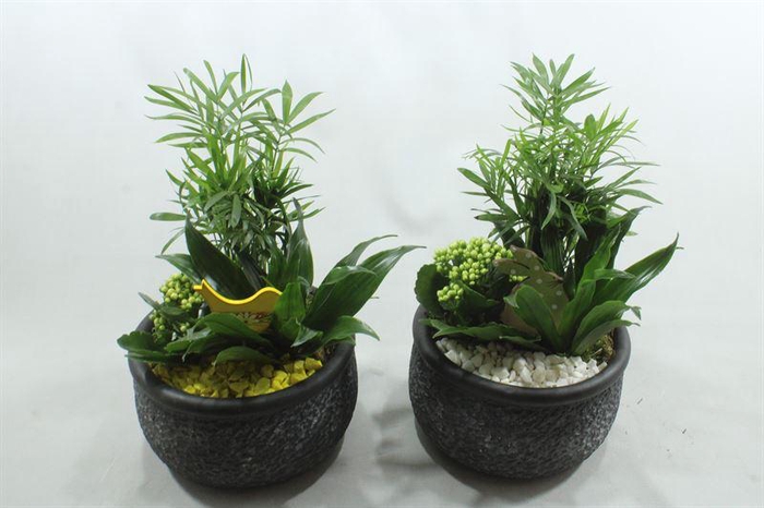 <h4>2334  KER GREY BAROK CHAM</h4>