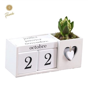 Hyacinth Mix 1916 Calender White 1pp