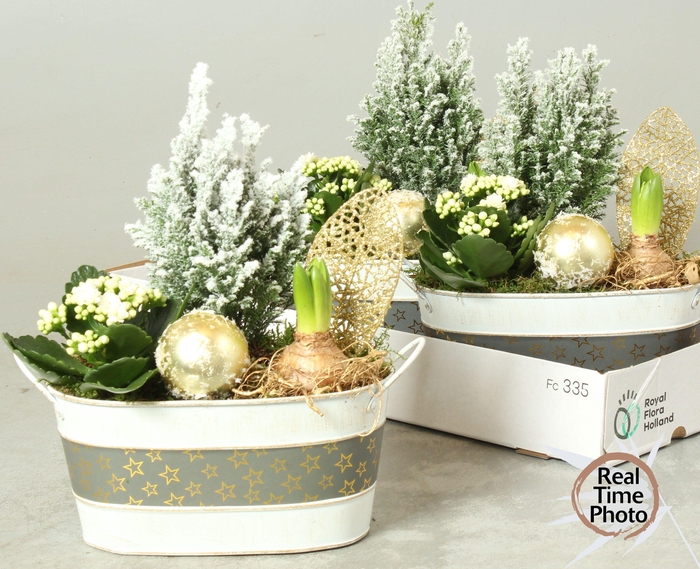 <h4>Arr Kamerpl</h4>