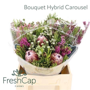 Bouquet Hybrid Carousel
