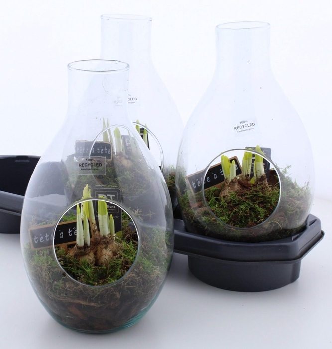 <h4>ARR N TETE A TETE</h4>