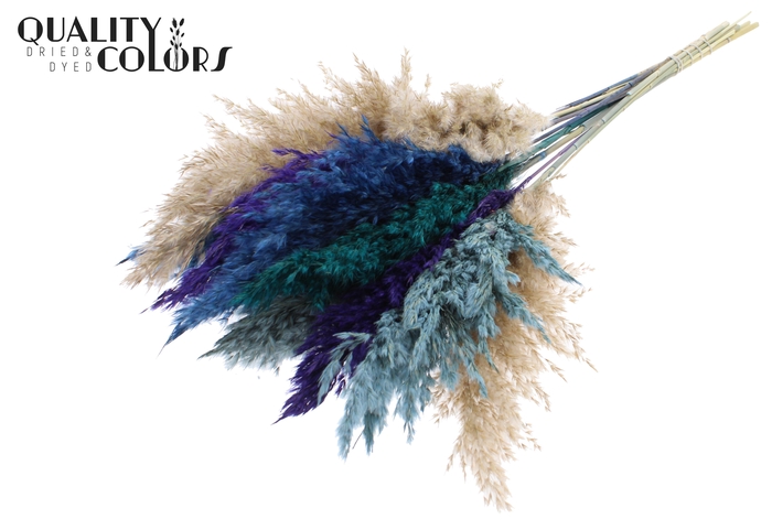 <h4>Pampas Grass 70cm 10st/bunch Scandinavian Mix</h4>