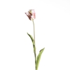AF Tulip Parrot L60cm Whit/Red