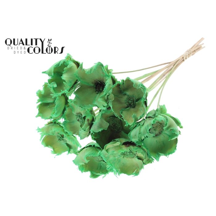 <h4>Palm cup on stem Bleached  Frosted Mint</h4>