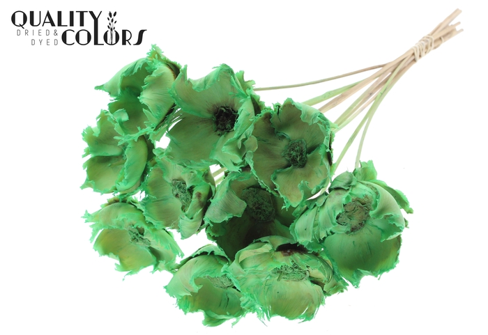 Palm cup on stem Bleached  Frosted Mint