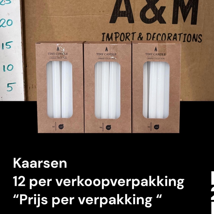 <h4>HUIS EN TUINDECO H%</h4>