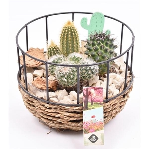 Gaasmand met touw 18cm