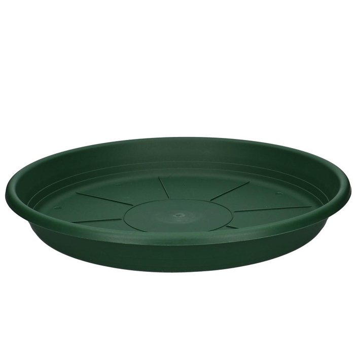 <h4>Plastic Water dish 45cm</h4>