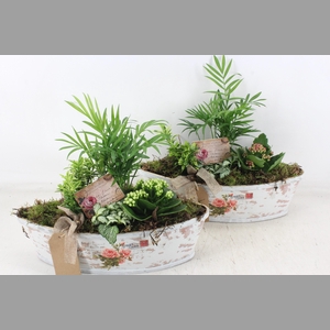 arr2 TD - Rozen boot - roze/wit