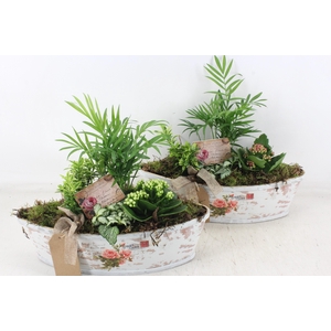 arr2 TD - Rozen boot - roze/wit