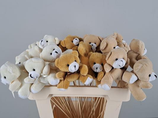 <h4>Stick Teddy 8cm Mix 3 Clrs</h4>