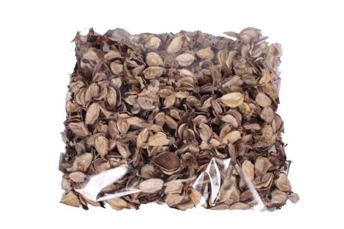 Cotton pods 250gr in poly Natural