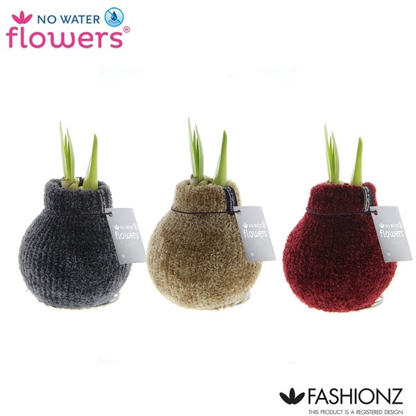 <h4>No Water Flowers® Fashionz Cozy Teddy</h4>